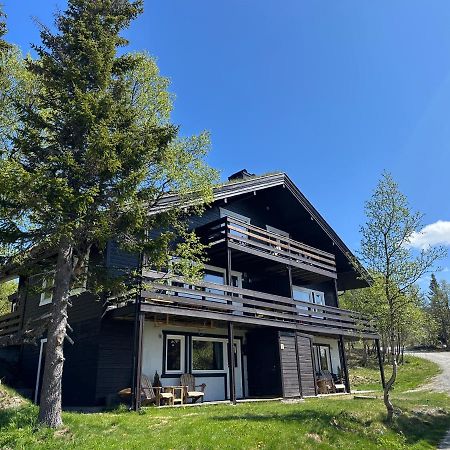 Ski Inn/Out - 4-Room Apartment W/3 Bedroom Gaustablikk Exterior foto